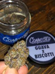 Buy Guava Biscotti Strain Online and Guava Biscotti Strain for sale online in UK